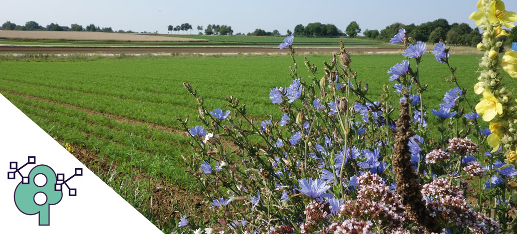 Klimawandel und Biodiversität in Baden-Württemberg