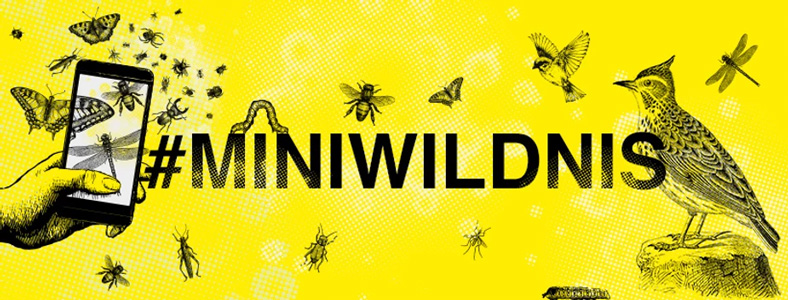 Miniwildnis Banner mit Tierillustrationen