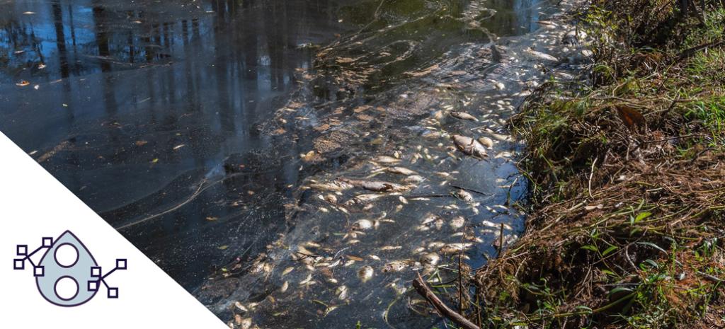 Climate change water dirty with dead fish